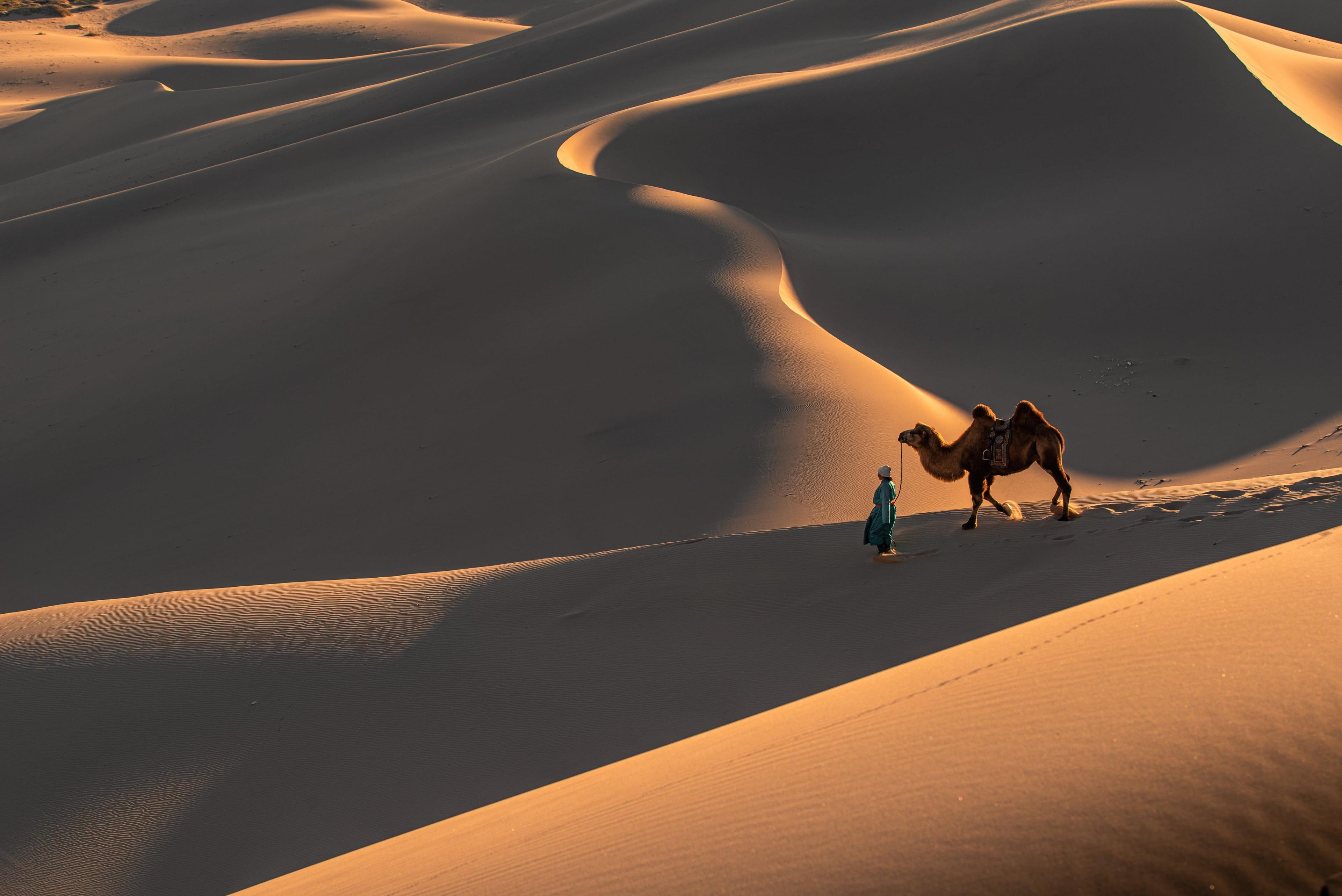 Tapis mongols authentiques